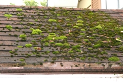 roof-wash-12