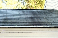 roof-wash-14