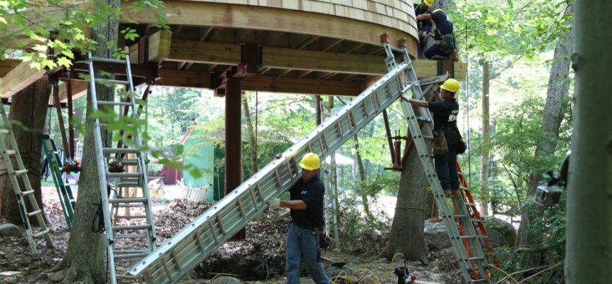 A&J working on Treehouse Masters