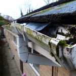 Roof cleaning services in New Jersey and New York.