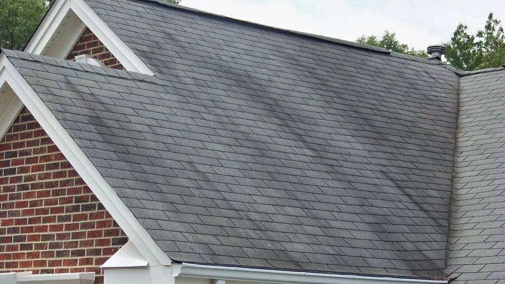 Visible dark spots or algae on roof is a sign that it's time for a new roof.