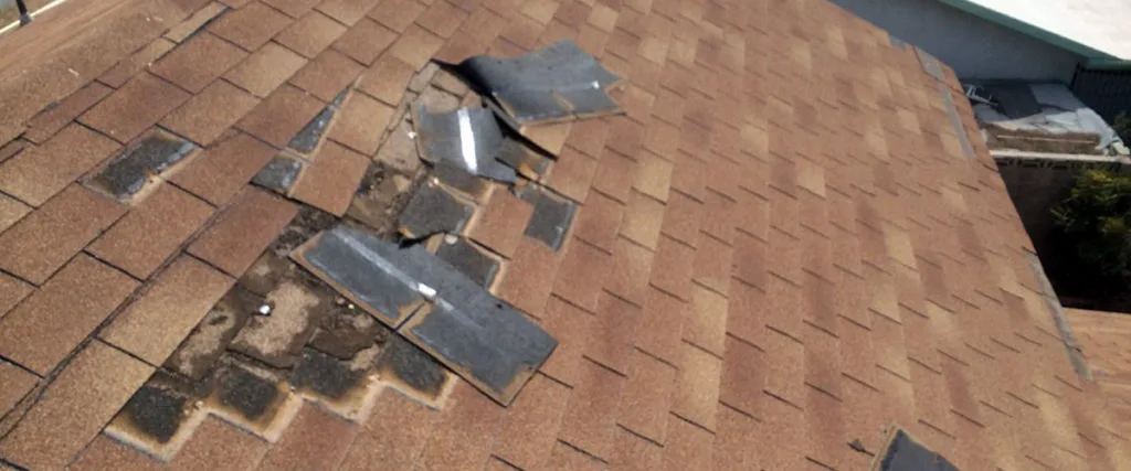 Excessive water damage on the roof is a sign that it's time for roof replacement.