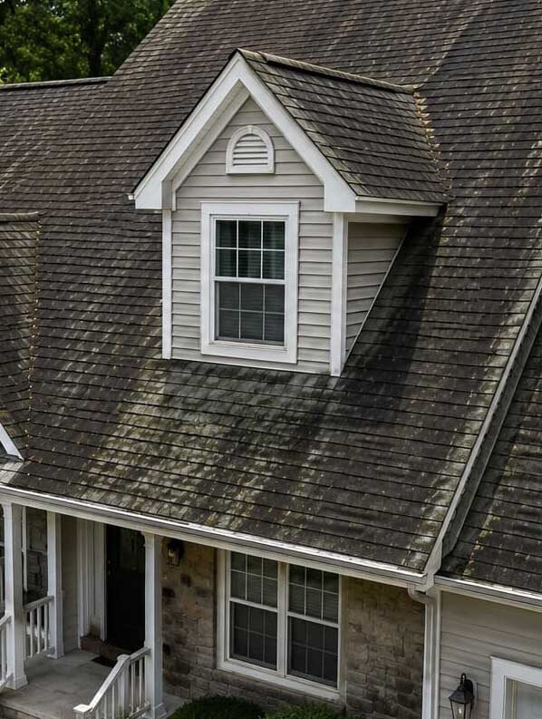 Roof Staining in Ridgewood